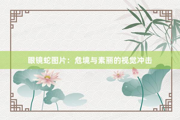 眼镜蛇图片:危境与素丽的视觉冲击