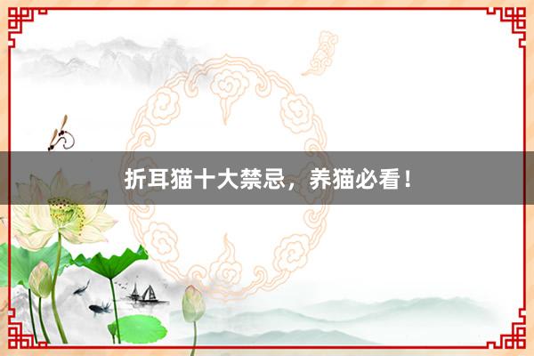折耳猫十大禁忌，养猫必看！